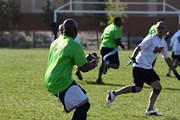 OTFL Gallery Image